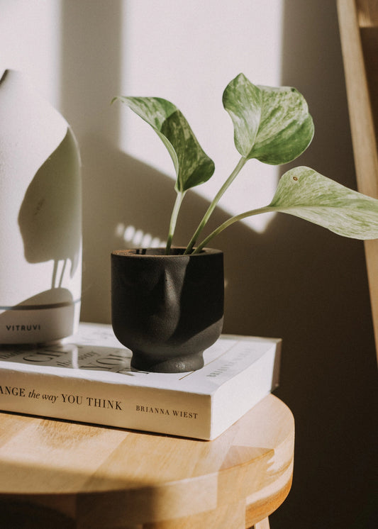 Mini Concrete Face Planter in Noir