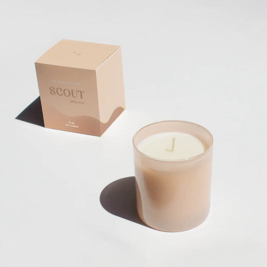 Scout Hue Candle (White Pine)